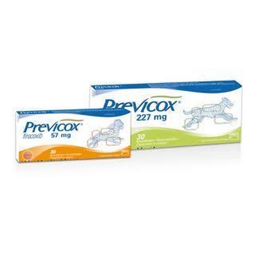 PREVICOX 57 MG Q DOG CHEW      	b/30      cpr